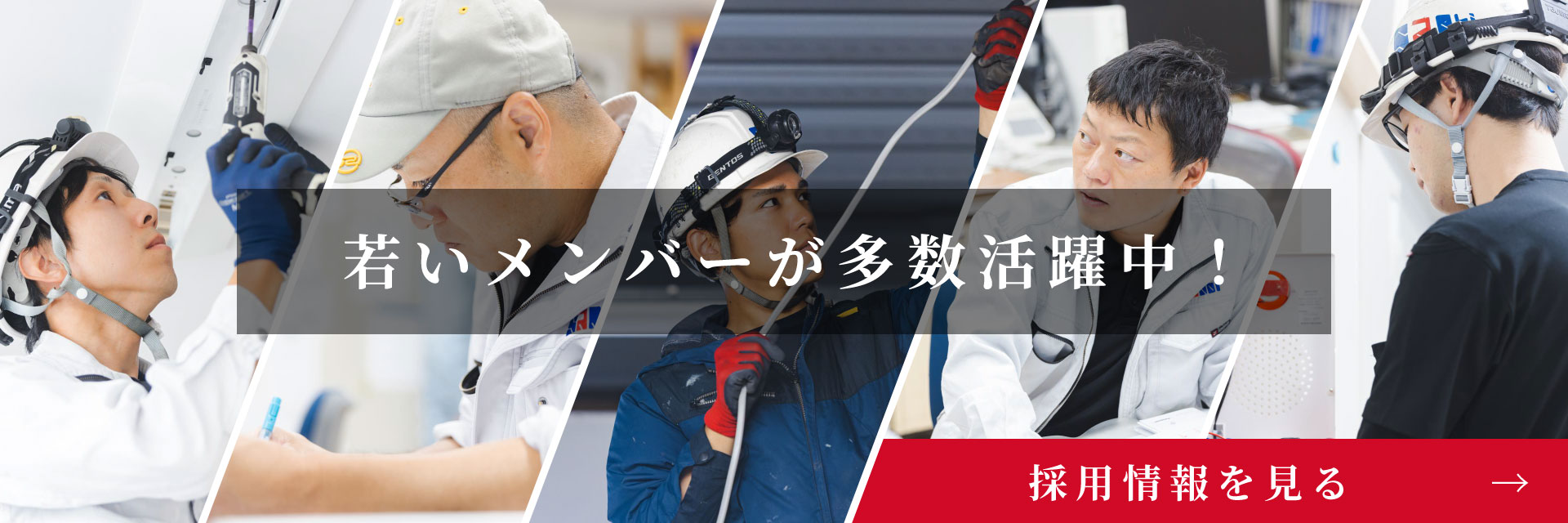 若いメンバーが多数活躍中！